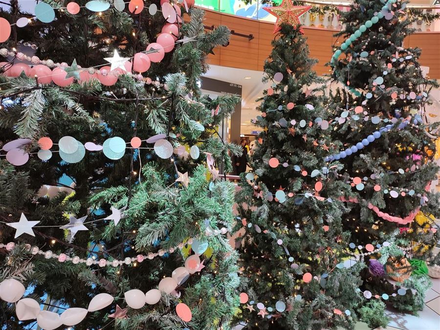 Juletræer engros - den ultimative guide