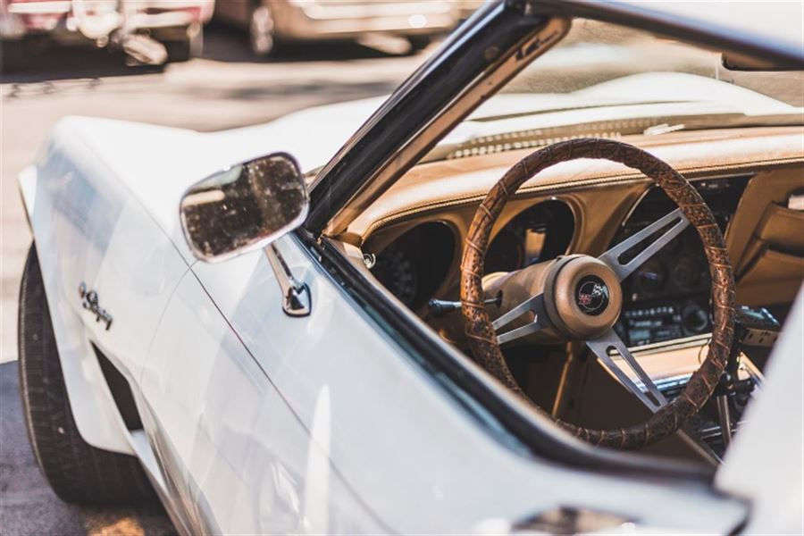 Hvorfor du bør undgå mår i bilen