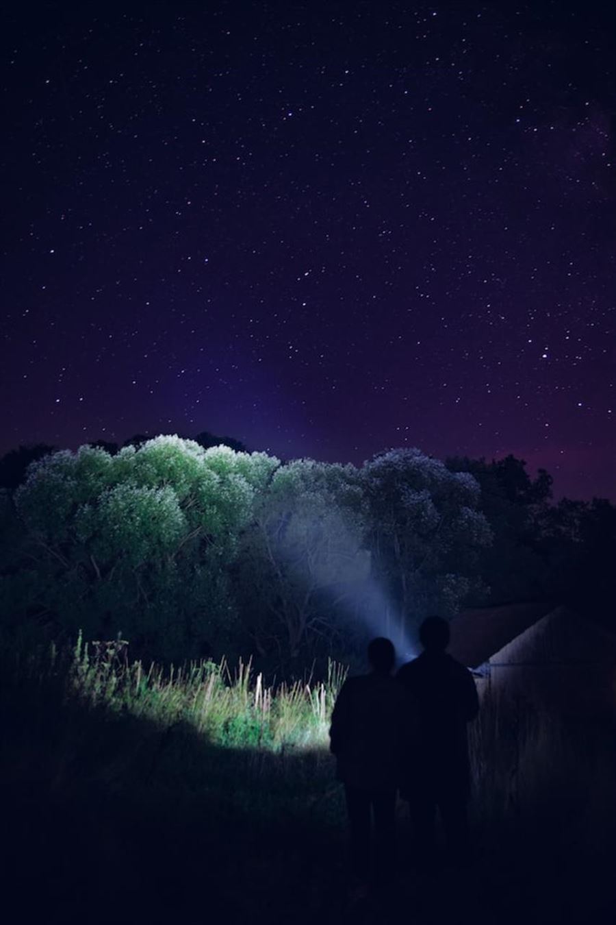 Lad lyset guide dig frem med en lygte til børn